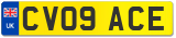 CV09 ACE