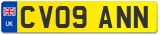 CV09 ANN