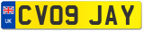 CV09 JAY