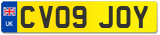 CV09 JOY