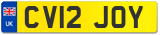 CV12 JOY