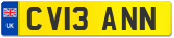 CV13 ANN