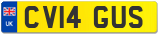 CV14 GUS