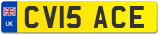 CV15 ACE