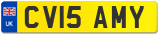 CV15 AMY