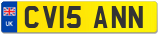 CV15 ANN