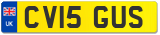 CV15 GUS