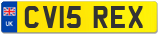 CV15 REX