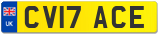CV17 ACE