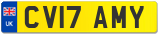 CV17 AMY