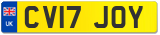 CV17 JOY