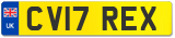 CV17 REX