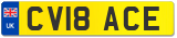CV18 ACE