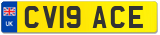 CV19 ACE