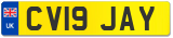 CV19 JAY