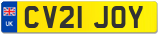 CV21 JOY