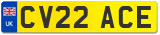 CV22 ACE