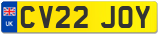 CV22 JOY