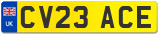 CV23 ACE