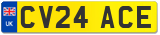 CV24 ACE