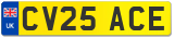 CV25 ACE