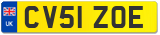 CV51 ZOE