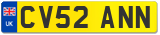 CV52 ANN