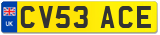 CV53 ACE