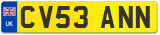 CV53 ANN