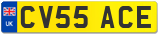 CV55 ACE