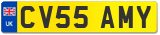 CV55 AMY