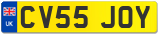 CV55 JOY