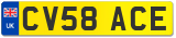 CV58 ACE