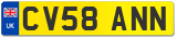 CV58 ANN