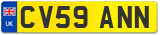 CV59 ANN