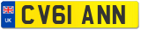 CV61 ANN