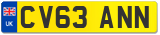 CV63 ANN