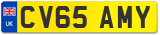 CV65 AMY