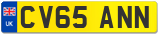 CV65 ANN