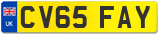 CV65 FAY