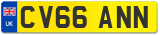 CV66 ANN