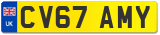 CV67 AMY