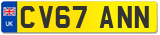 CV67 ANN