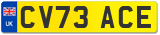 CV73 ACE