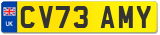 CV73 AMY