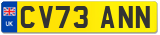 CV73 ANN