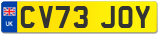 CV73 JOY