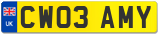 CW03 AMY