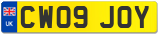 CW09 JOY