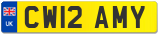 CW12 AMY